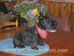 tessy_20211201_1553527995